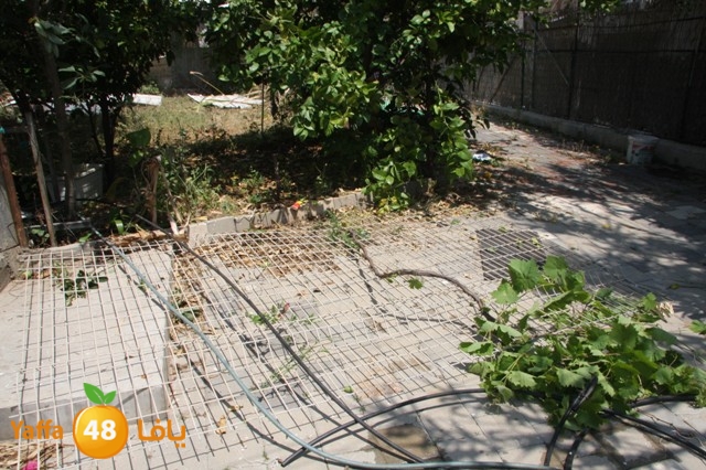 hadmqobtan423zoher (36).JPG